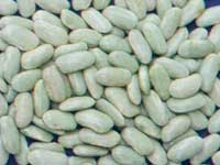 faba lourenza marisco