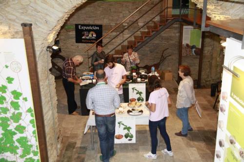 O RESTAURANTE LA UNIÓN GAÑOU O CONCURSO DE TAPAS DA FESTA DA FABA 2014