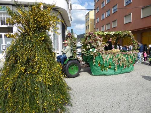 Os Maios 2018